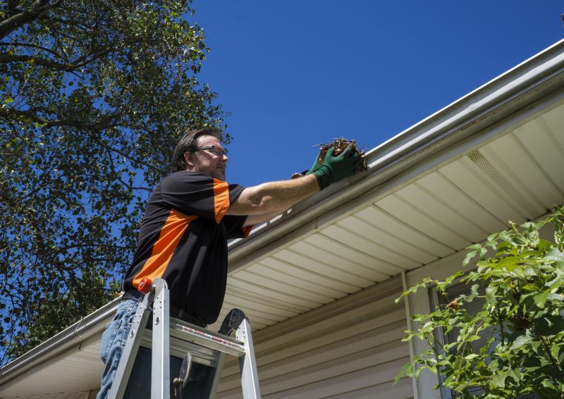 Gutter Leaf Clearing in Pittsburgh, PA