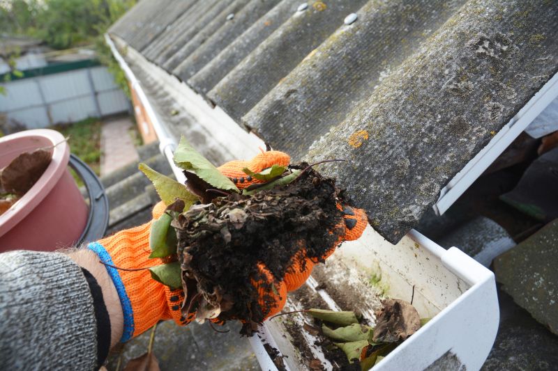Clogged Gutter Clearing in Monmouth County, NJ