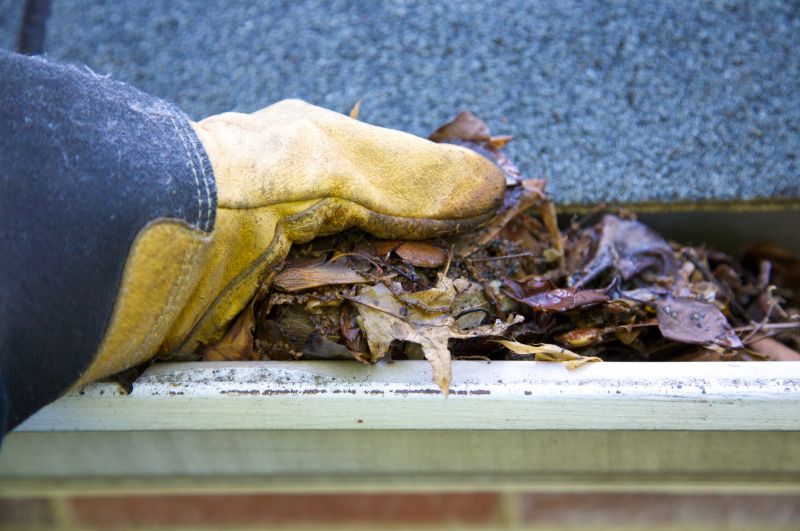 Clogged Gutter Clearing in Richmond, VA