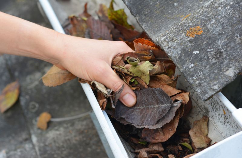 Commercial Gutter Unclogging in Littleton, CO