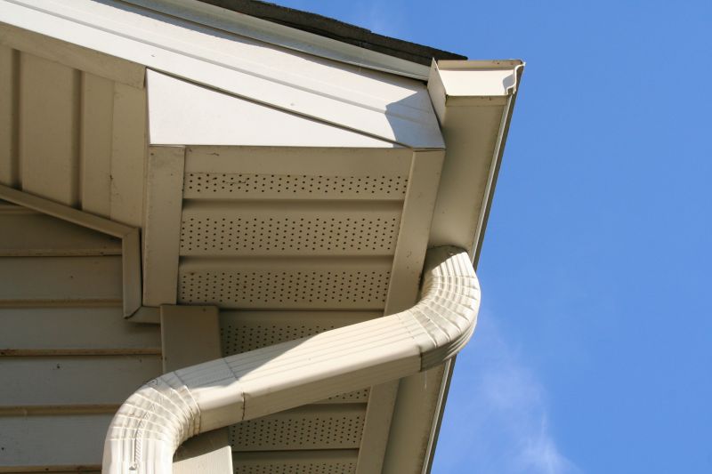 Downspout Blockage Removal in Frederick, MD
