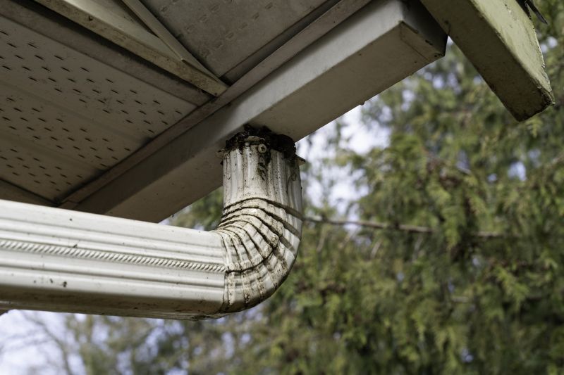 Eavestrough Clearing in Longmont, CO