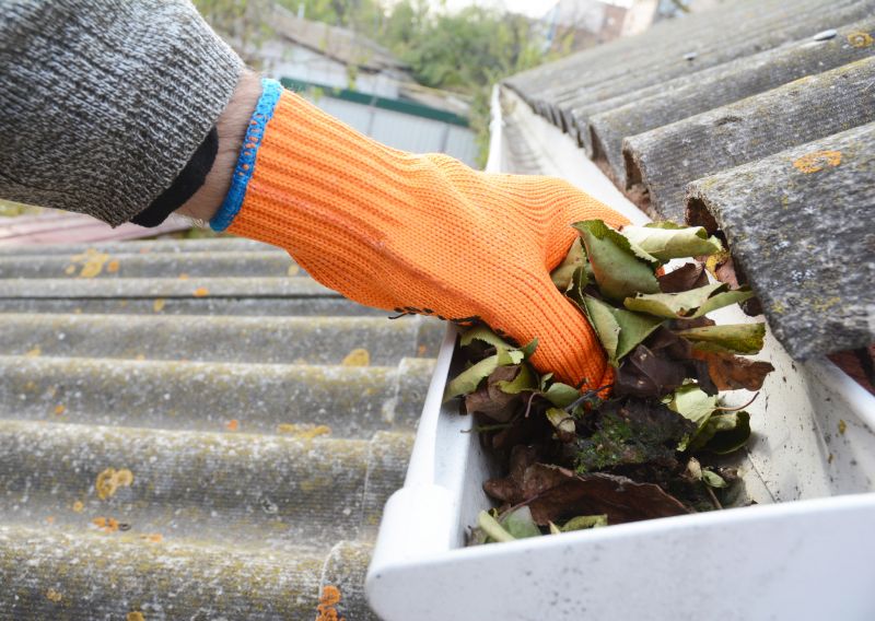 Gutter Cleaning in Longmont, CO
