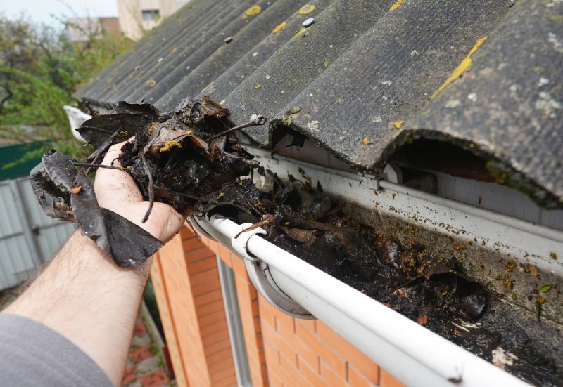 Gutter Leaf Clearing in Fredericksburg, VA