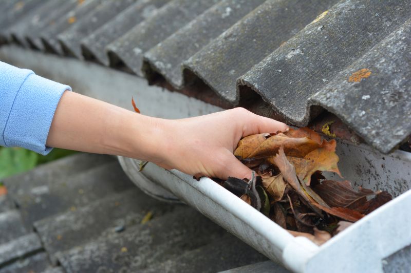 Gutter Leaf Clearing in Boulder, CO