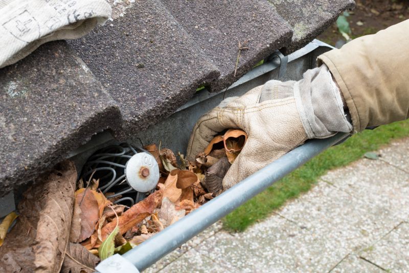 Gutter Leaf Clearing in Morris County, NJ