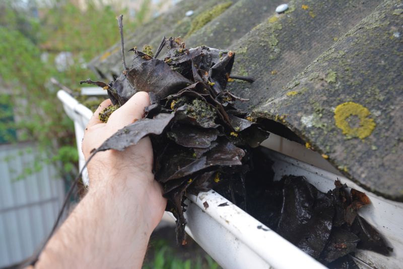 Gutter Leaves Removal in Morris County, NJ