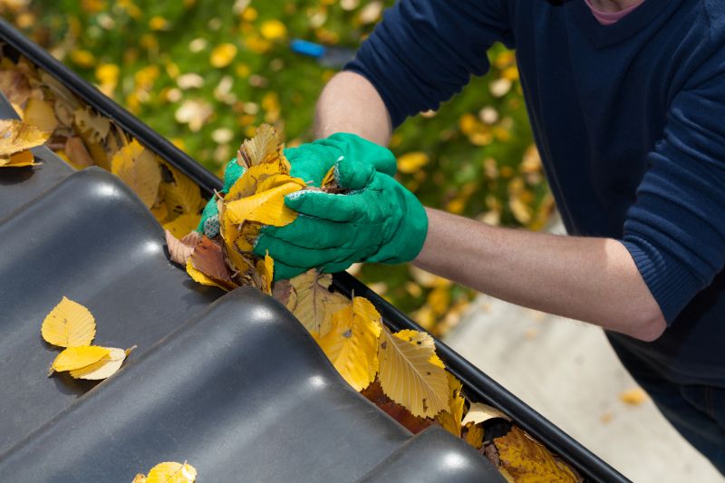 Gutter Leaves Removal in Bergen County, NJ