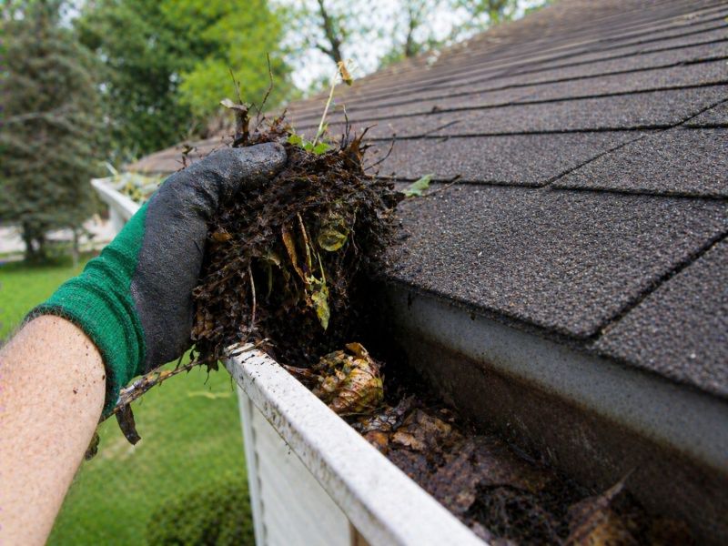 Gutter Maintenance in Boulder, CO