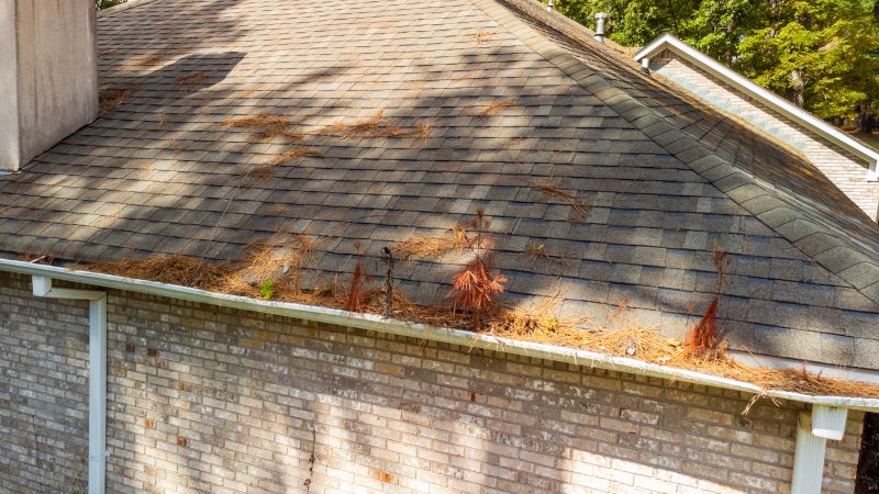 Gutter Pine Needle Removal in Morris County, NJ