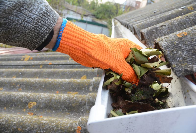 Gutter Pine Needle Removal in Annapolis, MD
