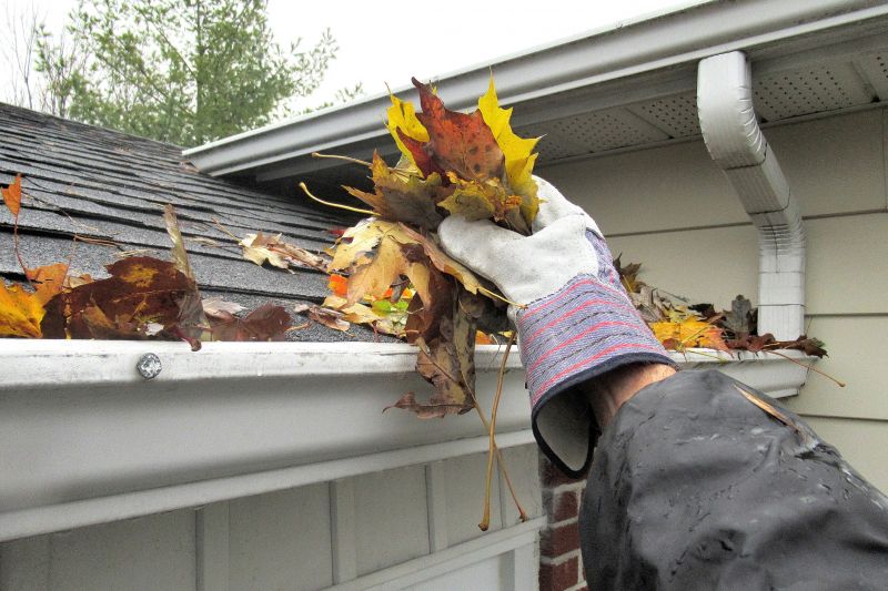 Gutter Pine Needle Removal in Westchester County, NY