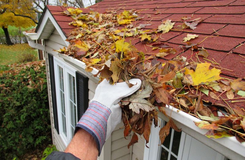 Rain Gutter Clearing in Arvada, CO