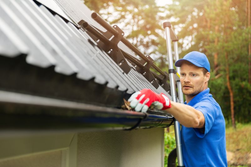 Roof Gutter Cleaning in Frederick, MD