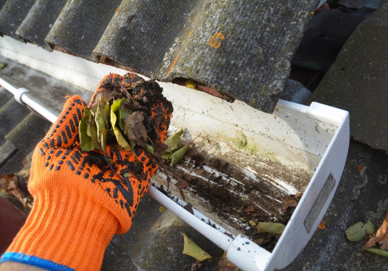 Roof Gutter Cleaning in Morris County, NJ